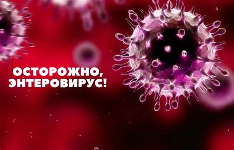 Борьба с инфекцией