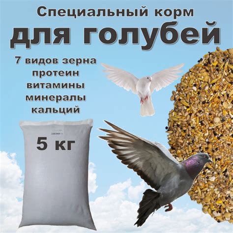 Важность обогащения рациона голубей витаминами и минералами