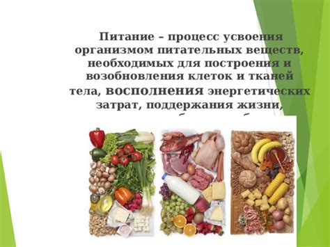 Важность сохранения питательных веществ