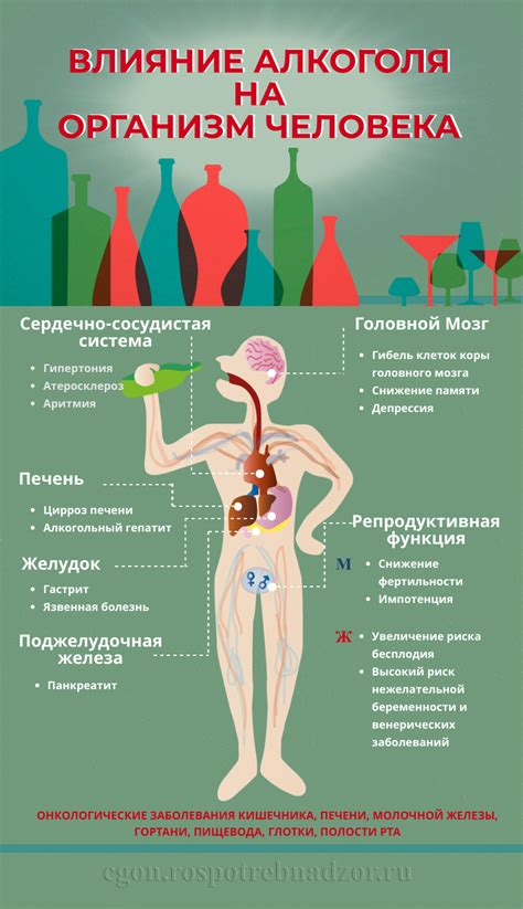 Влияние Рабифел на организм