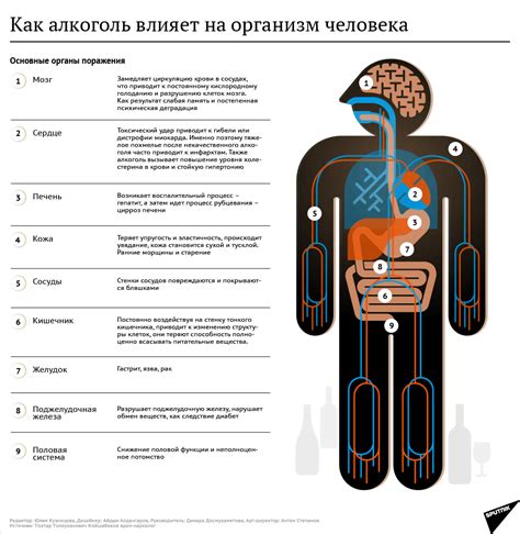 Влияние воздействия сухого алкоголя на процесс снижения веса по методике диеты Дюкана