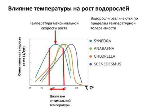 Влияние низких температур на компоненты шампуня