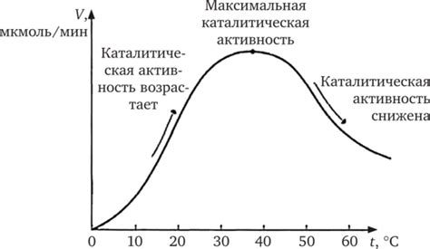 Влияние температуры на активность потовых желез