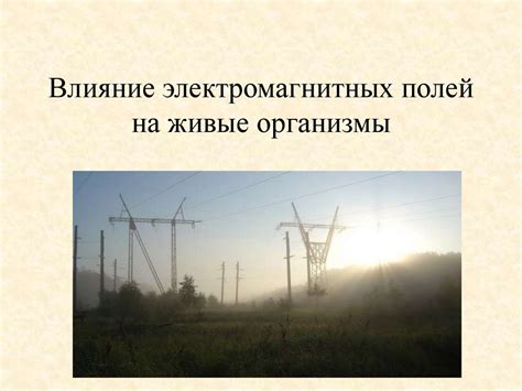 Влияние электромагнитных полей на работу радиосетей в жилых помещениях