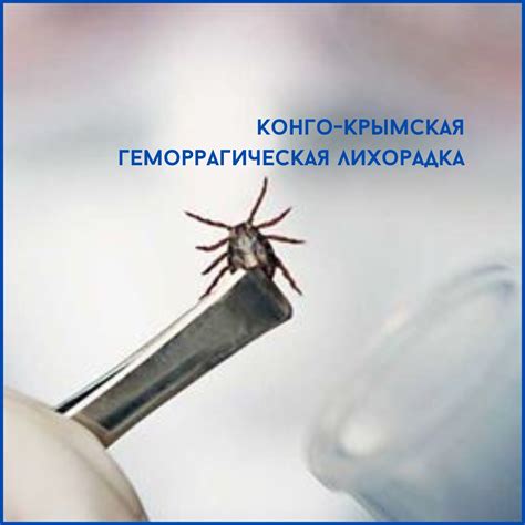 Геморрагическая лихорадка и роль шапочек