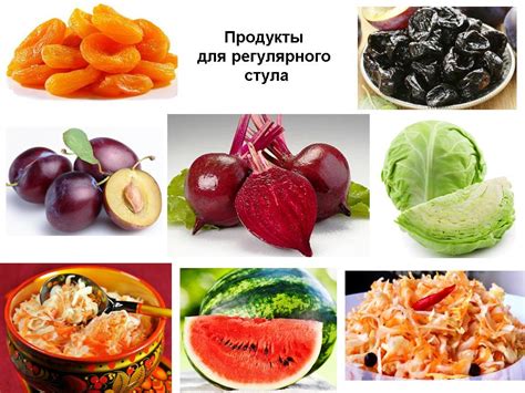 Диета при нарушении стула: рекомендации по составлению рациона кота