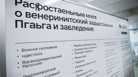 Заблуждения о просроченном рисе: распространенные мифы и правда о безопасности его употребления
