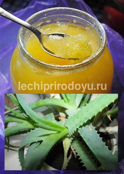 Извлечение полезных свойств алоэ с медом после хранения