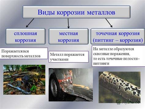 Коррозия металла и повреждение дерева