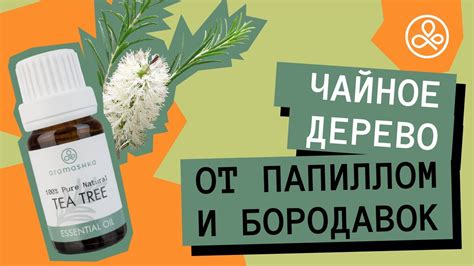 Можно ли использовать масло чайного дерева внутрь и какие риски с этим связаны