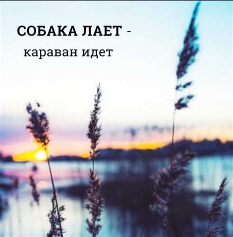 Неподвластное ограничениям значение и множественные смыслы слова "свобода" на родном языке