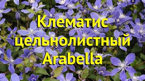 Описание характеристик