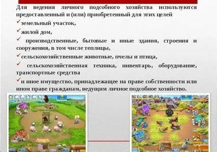 Основные этапы формирования агропредприятия на участках личного подсобного хозяйства