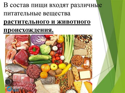 Особенности рационального питания для улучшения результатов тренировок на аэробном тренажере