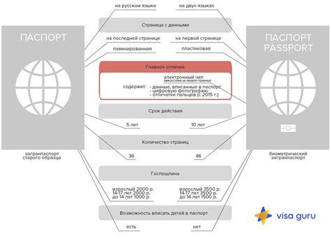 Полезные советы по оформлению загранпаспорта при условиях ограничения свободы