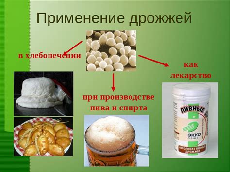 Применение просроченных дрожжей