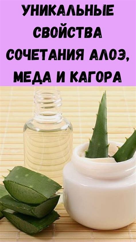 Продолжительность сохранения смеси алоэ и меда в холодильнике