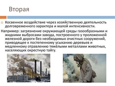 Распространение и воздействие таинственного существа на окружающую среду