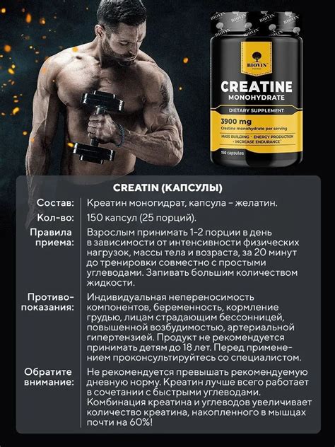 Роль симбиоза креатина и коллагена в повышении результатов спортсменов различных дисциплин