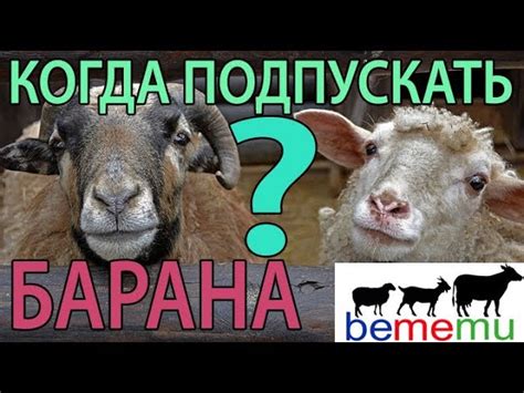 Сохранение настроек магнитолы: избегайте потери данных
