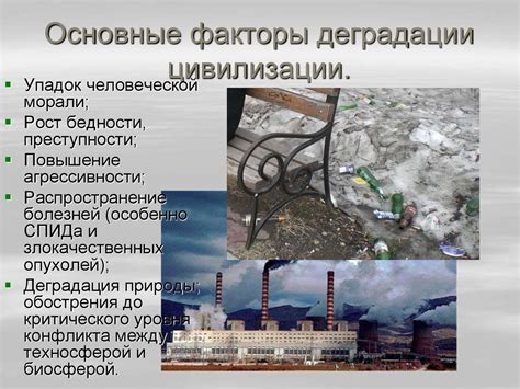 Факторы порчи: причины деградации риса до истечения срока годности