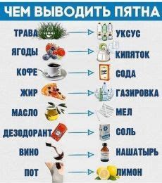 Что действовать по изменившемуся предпочтении сотового оператора: полезные подсказки и советы