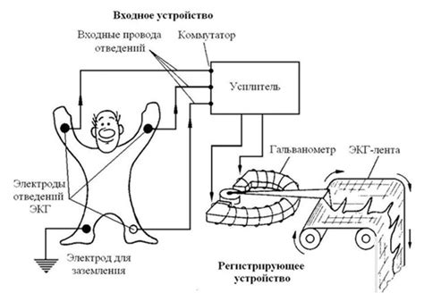 Этапы подготовки для снятия ксерокопии ЭКГ