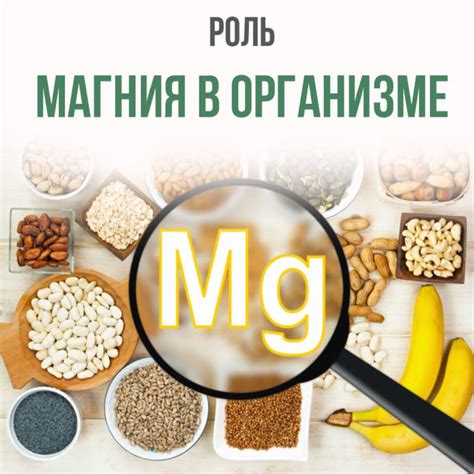  Взаимодействие хрома и магния в организме: важное сочетание для здоровья 